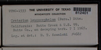 Image Associated With the Occurence